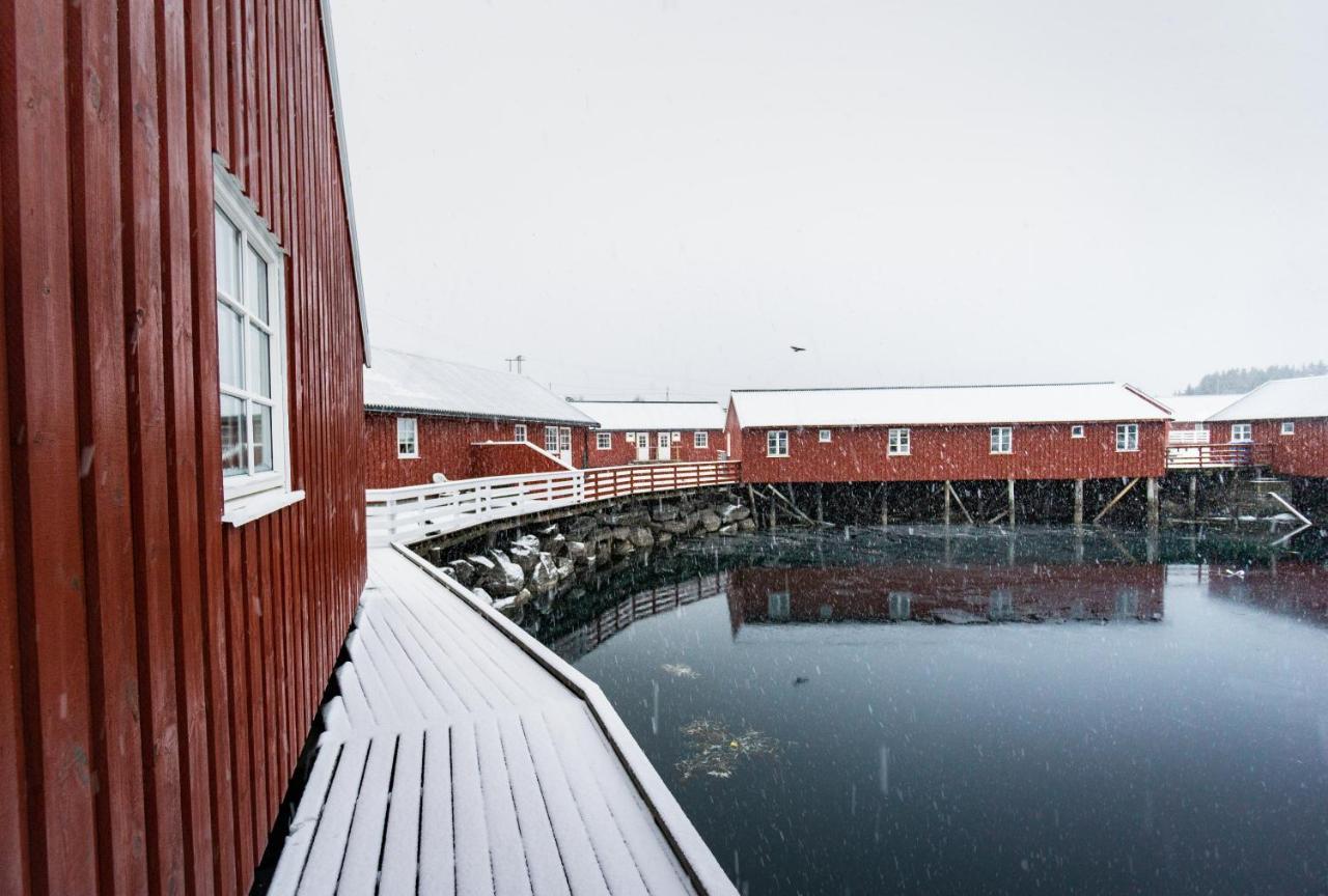 Lofoten Cabin And Kayak Rental Stamsund Eksteriør bilde