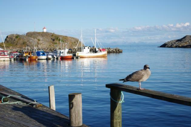 Lofoten Cabin And Kayak Rental Stamsund Eksteriør bilde